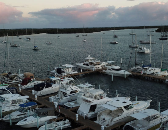 DJI_0303